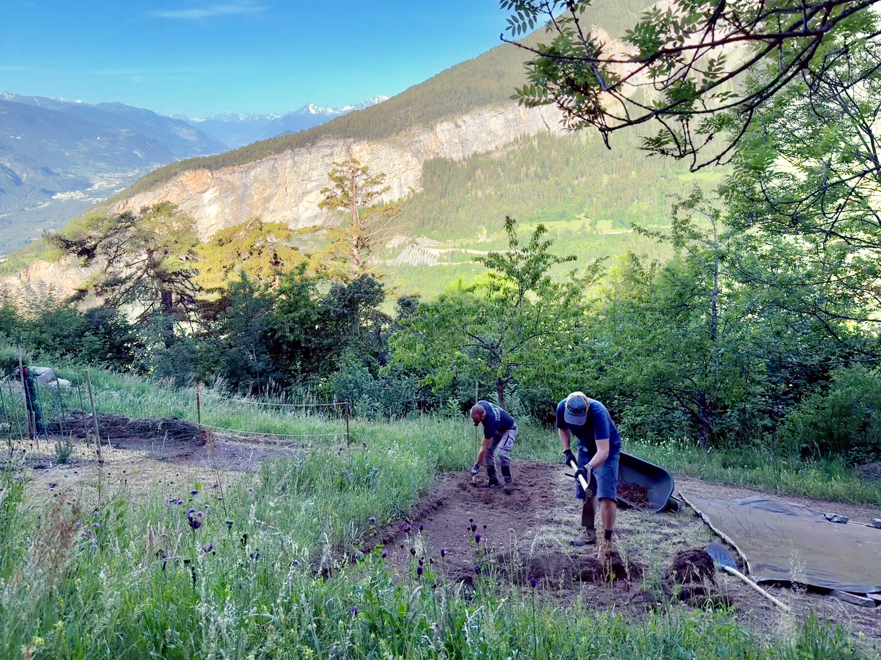 Michi und Georg bereiten den Sonnenhang in Albinen für das Safranfeld vor